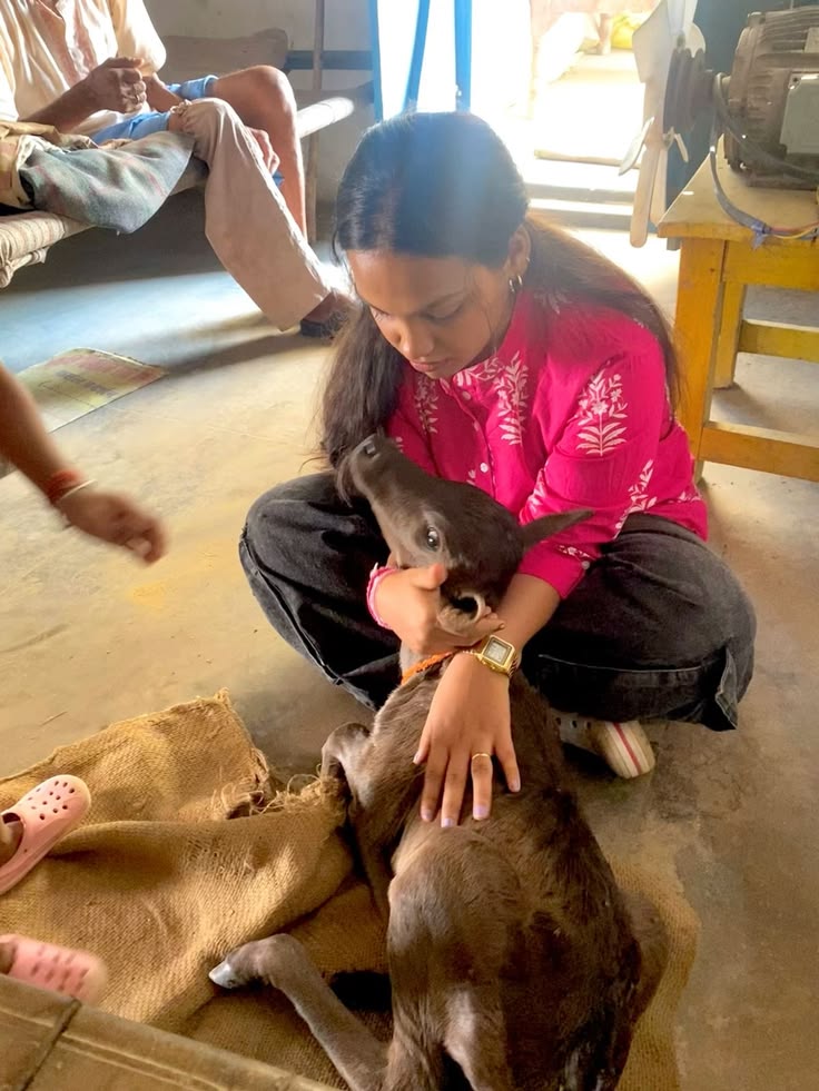 Street animal feeding drive