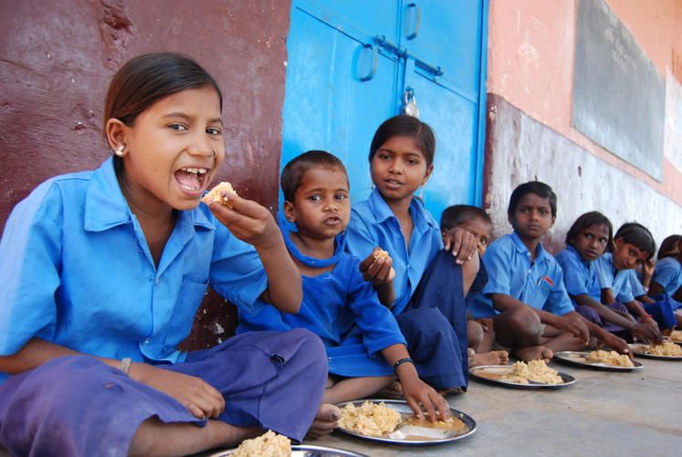 Nutrition & Meals